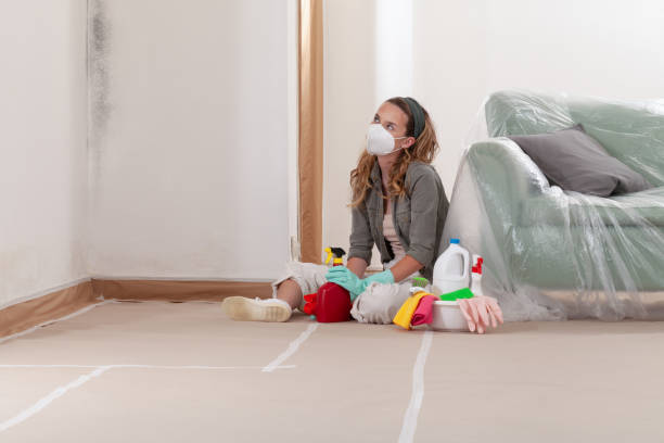 Reliable Commercial Mold Remediation contractor in Maple Plain, MN by WQB Mold Removal